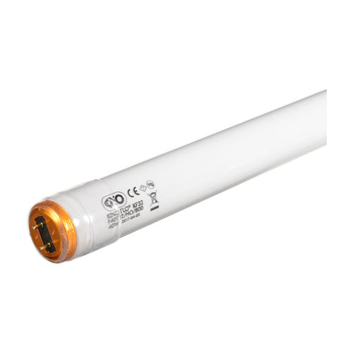 Kino Flo 2' Kino 800ma KF32 SFC True Match Fluorescent Lamp (6 Lamps)