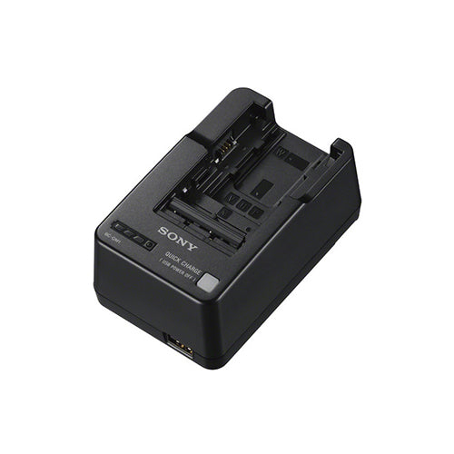 Sony BC-QM1 InfoLithium Battery Charger