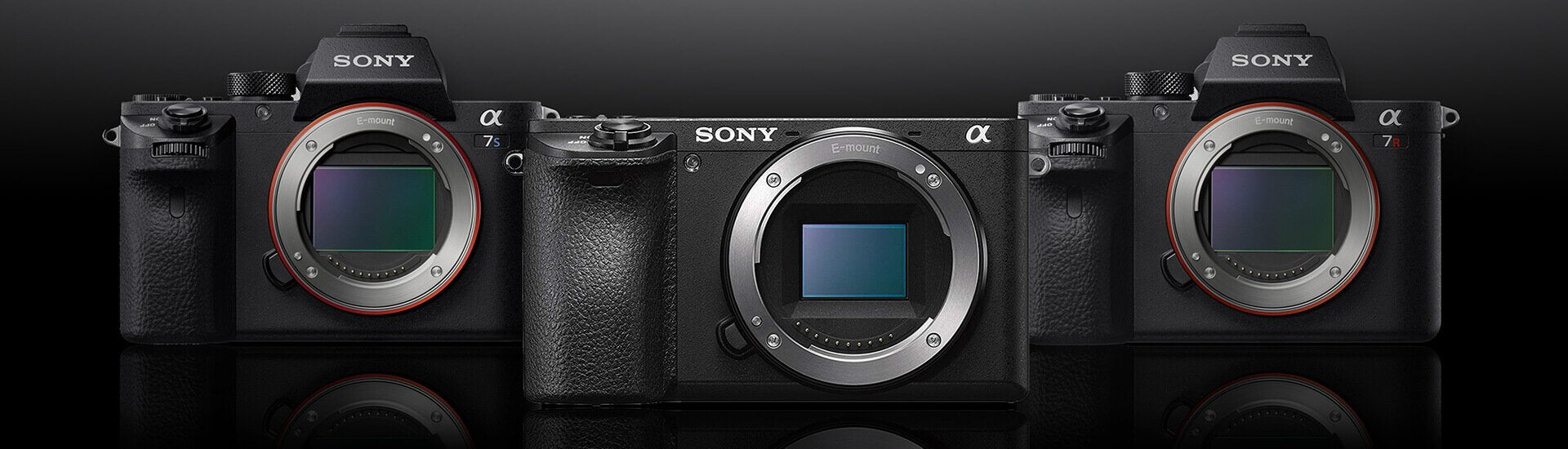 Sony Mirrorless Cameras: The Future of Videography – UBMS