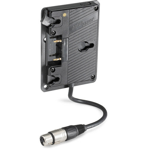 Anton/Bauer Gold Mount Plate with XLR Cable for VESA Pattern