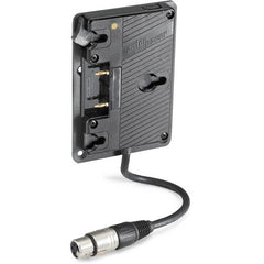 Anton/Bauer Gold Mount Plate with XLR Cable for VESA Pattern