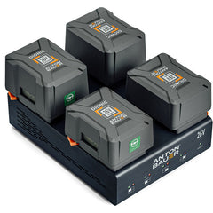 Anton/Bauer QUAD 6A Multi-Voltage Gold Mount/Plus Charger