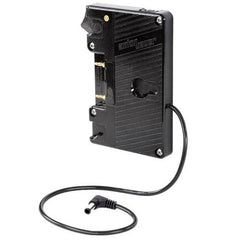 Anton/Bauer Gold Mount Battery Bracket with P-Tap and Sony/Panasonic DC Barrel Output