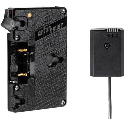 Anton/Bauer Gold Mount Battery Bracket with P-Tap and Sony L-Series Dummy Battery Output