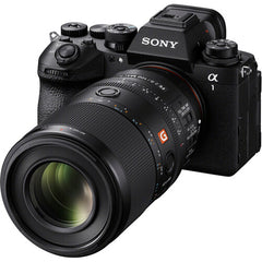 Sony FE 100mm F/2.8 Macro GM OSS Lens