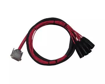 Avid DB25-XLRM DigiSnake Cable - 12ft