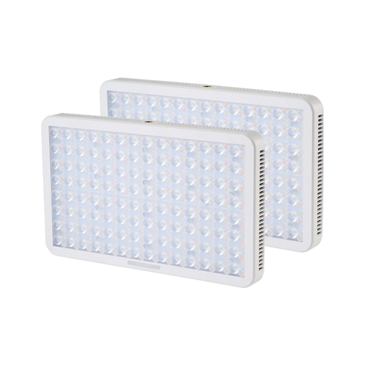 Aputure amaran Pano 60c 2-Light Kit (White)