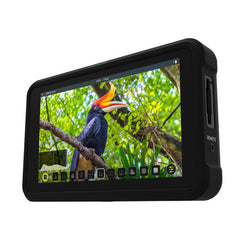 Atomos Shinobi 5.2" 4K HDMI Monitor