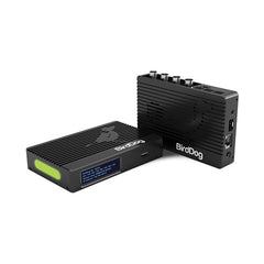 BirdDog 4K Quad NDI Encoder/Decoder