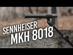 Sennheiser MKH 8018 Stereo Shotgun Microphone