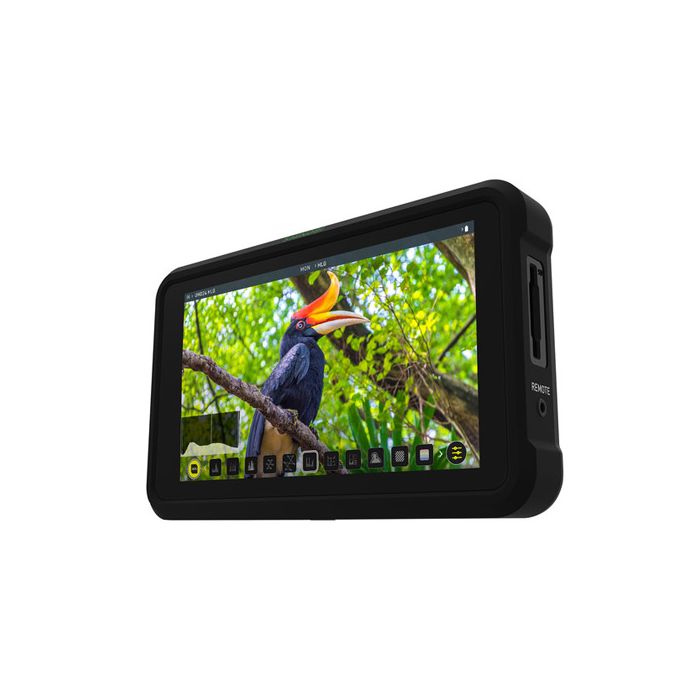 Atomos shinobi monitor hot sale