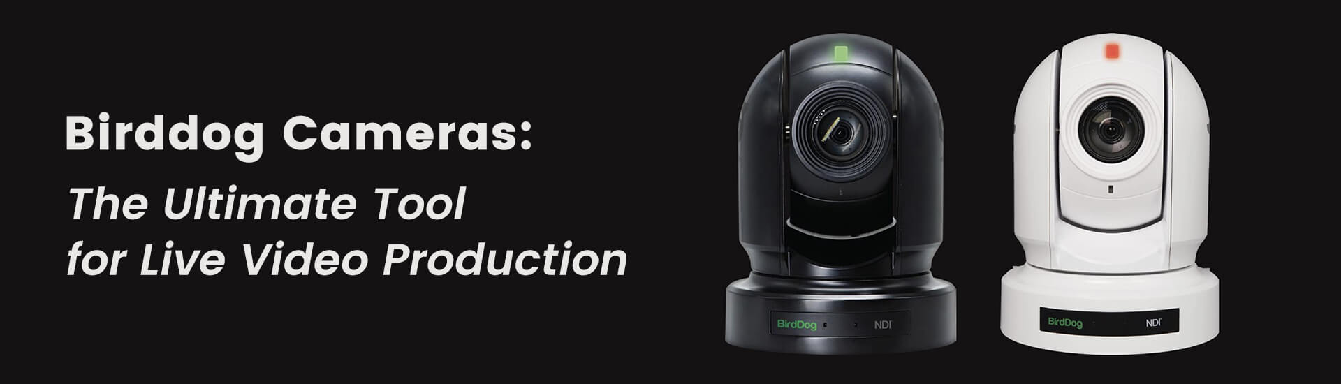 Birddog Cameras: The Ultimate Tool for Live Video Production