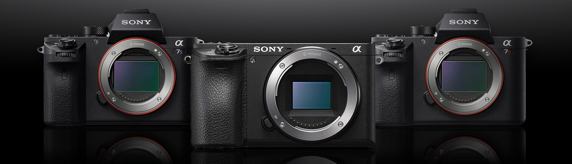 Sony Mirrorless Cameras: The Future of Videography